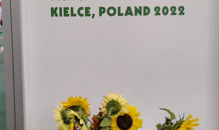 Aktuelle Publikation zur Dorfbewegung Brandenburg