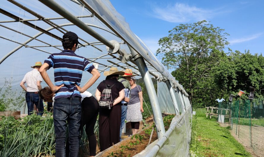 Tag der Dörfer 2023: Enkeltaugliche Dörfer – gemeinsam Zukunft gestalten
